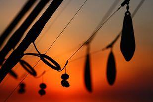 CHUB - 55230344142411922712355604219n.jpg